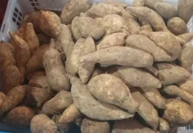 Tips Memilih Singkong di Pasar