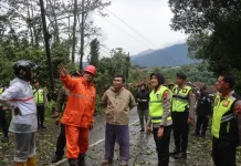 Pohon Tumbang Tutup Jalan Kalirejo-Kalongan di Ungaran