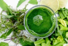 Resep Membuat Smoothie Sayuran yang Sehat dan Menyegarkan