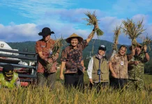 Jateng Panen Raya 3,35 Juta Ton, Naik 14 Persen