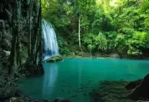 Kisah Puasa Jawa Kuno dalam Kakawin Arjunawiwāha dan Śiwarātrikalpa