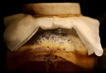 Mengenal Kombucha, Minuman Teh Fermentasi