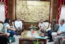 Atasi Kelangkaan, Bibit Ayam Broiler di Pati Kembali Dipasok