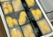 Peluang Usaha Durian Kupas dalam Wadah Tepak
