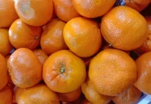 Tips Menyimpan Jeruk agar Tetap Segar