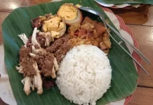 Peluang Menjanjikan Usaha Nasi Gudeg Kering Komplit
