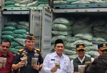 Ekspor Lima Kontainer Kratom Digagalkan, Empat Tersangka Ditetapkan