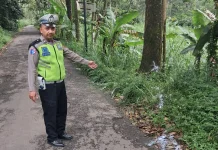 Hendak Perang Sarung, Remaja di Getasan Tewas Tabrak Pohon