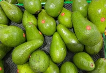 Manfaat Alpukat Bagi Kesehatan