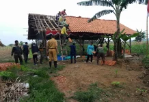Perhutani Purwodadi Sterilkan Lahan Hutan dari Bangunan Liar
