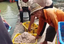 Cuaca Mendukung, Hasil Tangkapan Nelayan Pekalongan Meningkat