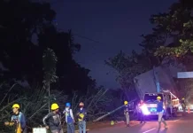 PLN Gerak Cepat Pulihkan Listrik Padam Akibat Hujan dan Angin Kencang