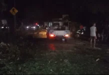 Angin Kencang Terjang Kudus, Puluhan Pohon Tumbang