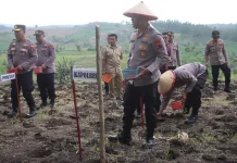 Polres Demak Tanam Jagung Serentak di Karangawen