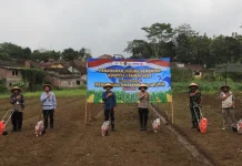 Dukung Ketahanan Pangan, Polres Semarang Tanam Jagung