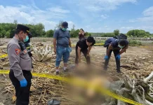 Polisi Telusuri Penemuan Jenazah tanpa Identitas di Pantai Demak