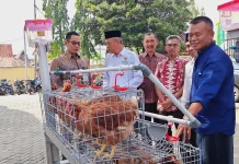 BPR BKK Lasem Salurkan Bantuan, Ada Ayam Petelur Sepaket Kandang dan Pakan