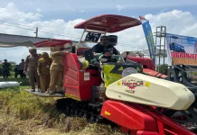 BUMDesma Anugerah Pratama Bayan Purworejo Sukses Panen Padi di Lahan Tidur