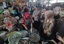 Harga Ikan di Kendal Naik Rata-rata Rp5-10 Ribu per Kilogram