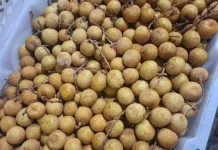 Ide Es Kelengkeng Segar untuk Menu Berbuka Puasa