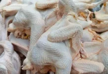 Tips Memilih Ayam Jawa Utuh di Pasar