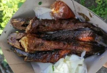 Cara Jualan Lele Bakar Sistem Pre-Order