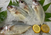 Cara Mengawetkan Ikan agar Tahan Lama