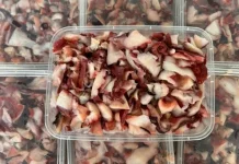 Ragam Olahan Daging Gurita