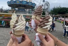 Menikmati Kesegaran Es Krim di Hari yang Panas