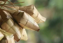 Tips Membuat Ketupat Anti Gagal