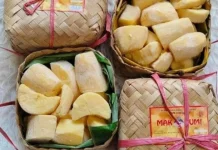 Peluang Usaha Tape Singkong dalam Besek