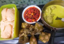 Pilihan Menu Sehat tanpa Santan saat Hari Raya