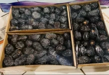 Cara Menyimpan Kurma agar Tahan Lama