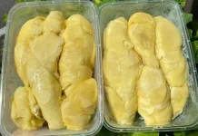 Mengenal Durian Trenggalek, Raja Buah dari Jawa Timur