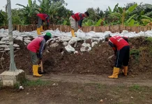Antisipasi Banjir Susulan, Pemkot Semarang Perkuat Tanggul Kali Babon