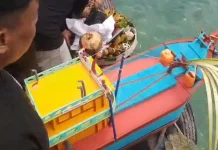 Tradisi Sedekah Laut Tasikagung Rembang, Ini Maknanya