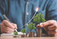Tips Bagi Pemula yang Baru Mulai Investasi