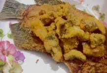 Resep Memasak Gurame Fillet Goreng yang Renyah