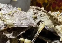 Keripik Paru, Oleh-Oleh Khas Klaten