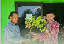 Program Janur Melengkung, Catin di Rembang Wajib Tanam Pohon sebelum Akad Nikah