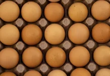 Asupan Protein untuk Pemulihan Otot