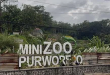 LSM Tamperak Minta Usut Tuntas Dugaan Korupsi Proyek Mini Zoo Purworejo