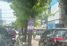 Halo RR, Warga Kota Semarang Keluhkan Iklan Dipasang di Pohon