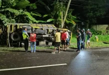 Kecelakaan Tunggal, Truk Mitsubishi Terguling di JLS Salatiga