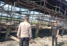 Kandang Ayam Ludes Terbakar, Kerugian Miliaran