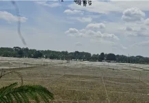 Produksi Padi Jateng Capai 4 Juta Ton, Distribusi Diperhatikan Jamin Harga Stabil