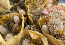 Takut Bunga Layu? Dried Flowers Jawabannya