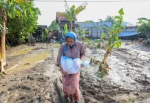 Pemprov Jateng  Pastikan Stok Pangan Aman dan Surplus di tengah Bencana Banjir