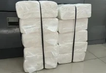 Tisu dan Manfaatnya dalam Kehidupan Sehari-hari
