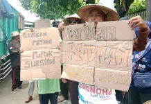 Harga Tinggi dan Langka, Petani Pati Desak Pemerataan Distribusi Pupuk Bersubsidi
